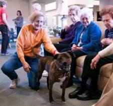 seniors enjoying visit from dog